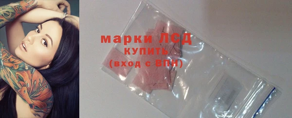 ECSTASY Абаза