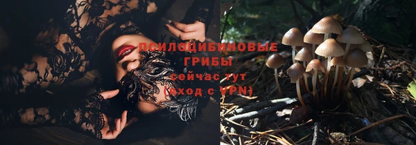 мяу мяу мука Медвежьегорск