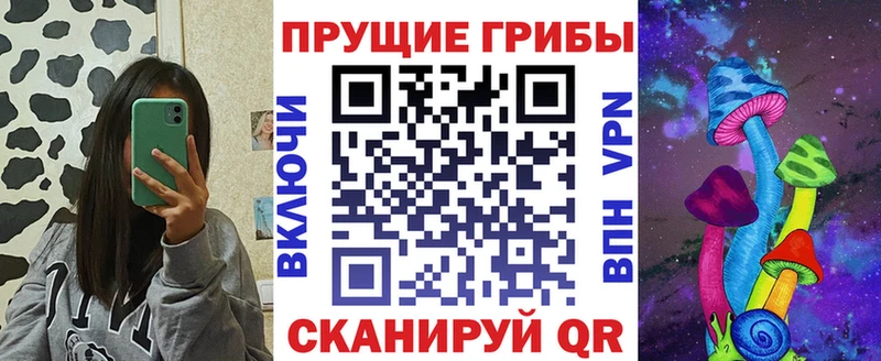 купить   Алапаевск  Галлюциногенные грибы Psilocybe 